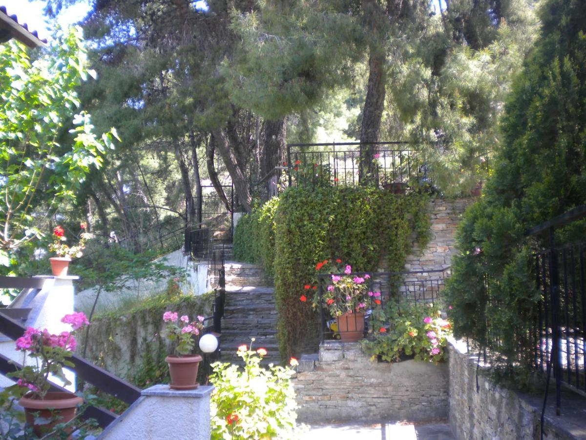 Iliochari Sea View Apartments Oropos - Kalamos Exterior photo